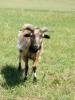 Image bilder/07030014.jpg